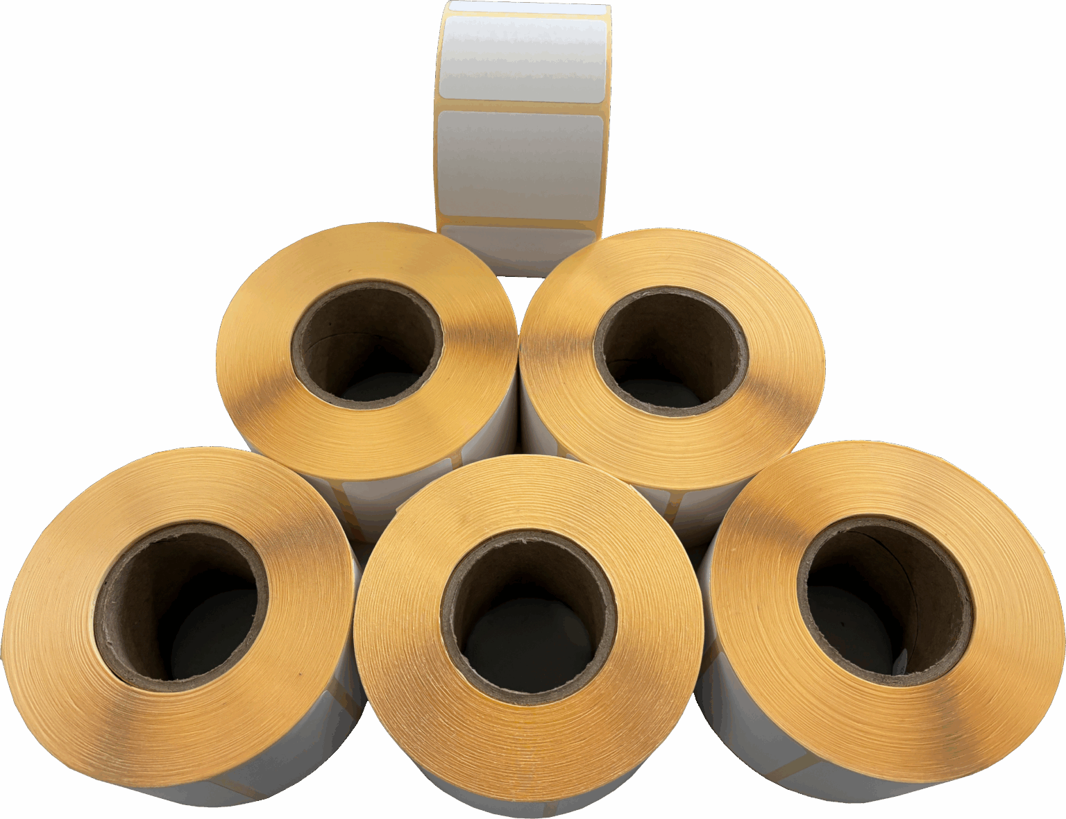 Melag MELAprint 60/80 Compatible Label Kit (6 Rolls) - DCS (Aust.) Pty ...